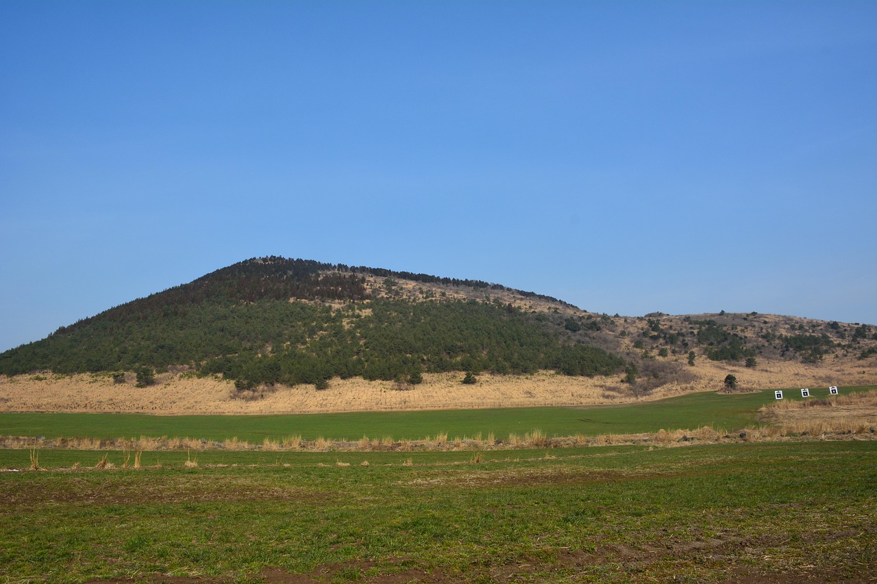 découvrez laudato si, l’encyclique du pape françois sur la sauvegarde de la maison commune, invitant à une réflexion sur l’écologie, la justice sociale et la responsabilité environnementale pour un avenir durable.