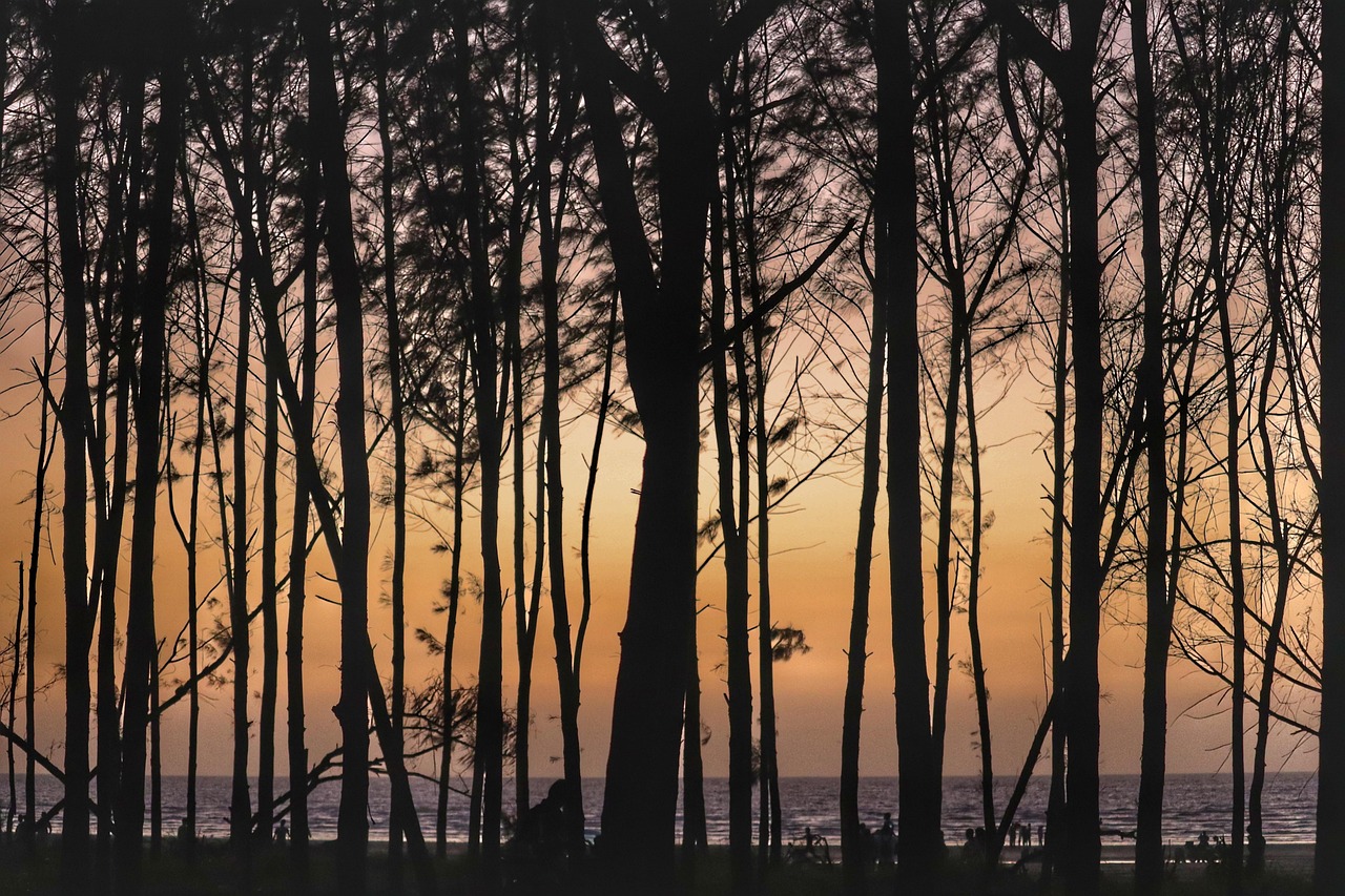 découvrez mumbai, la plus grande ville de l’inde : un mélange vibrant de cultures, d’histoire, de gastronomie, et de modernité. explorez ses sites emblématiques, ses plages animées, et son atmosphère unique.