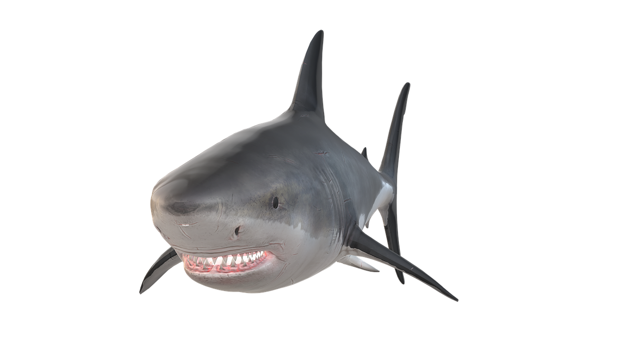 découvrez tout sur les requins : espèces, comportement, alimentation et rôle dans les écosystèmes marins. plongez dans l’univers fascinant de ces prédateurs impressionnants !