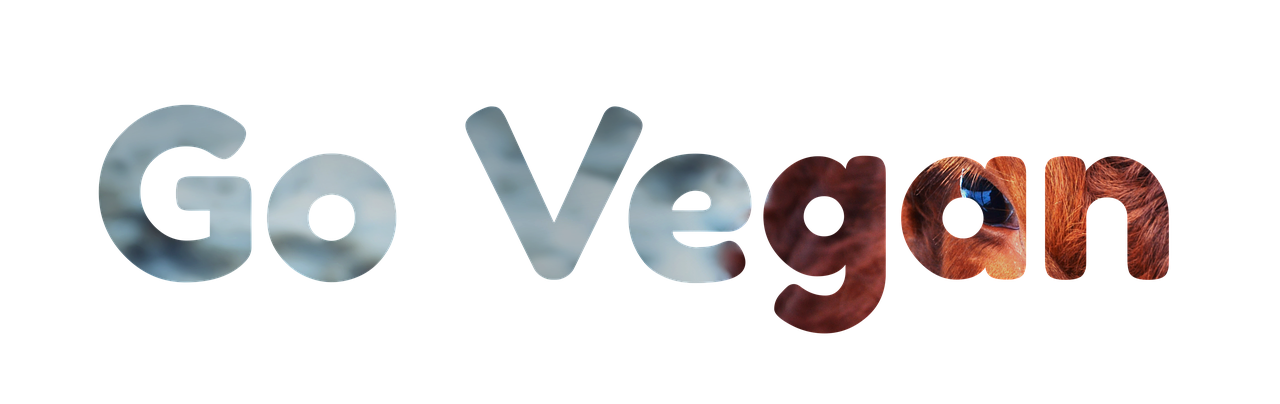 découvrez comment adopter un mode de vie durable grâce à des conseils pratiques, des astuces écologiques et des idées inspirantes pour préserver l’environnement au quotidien.