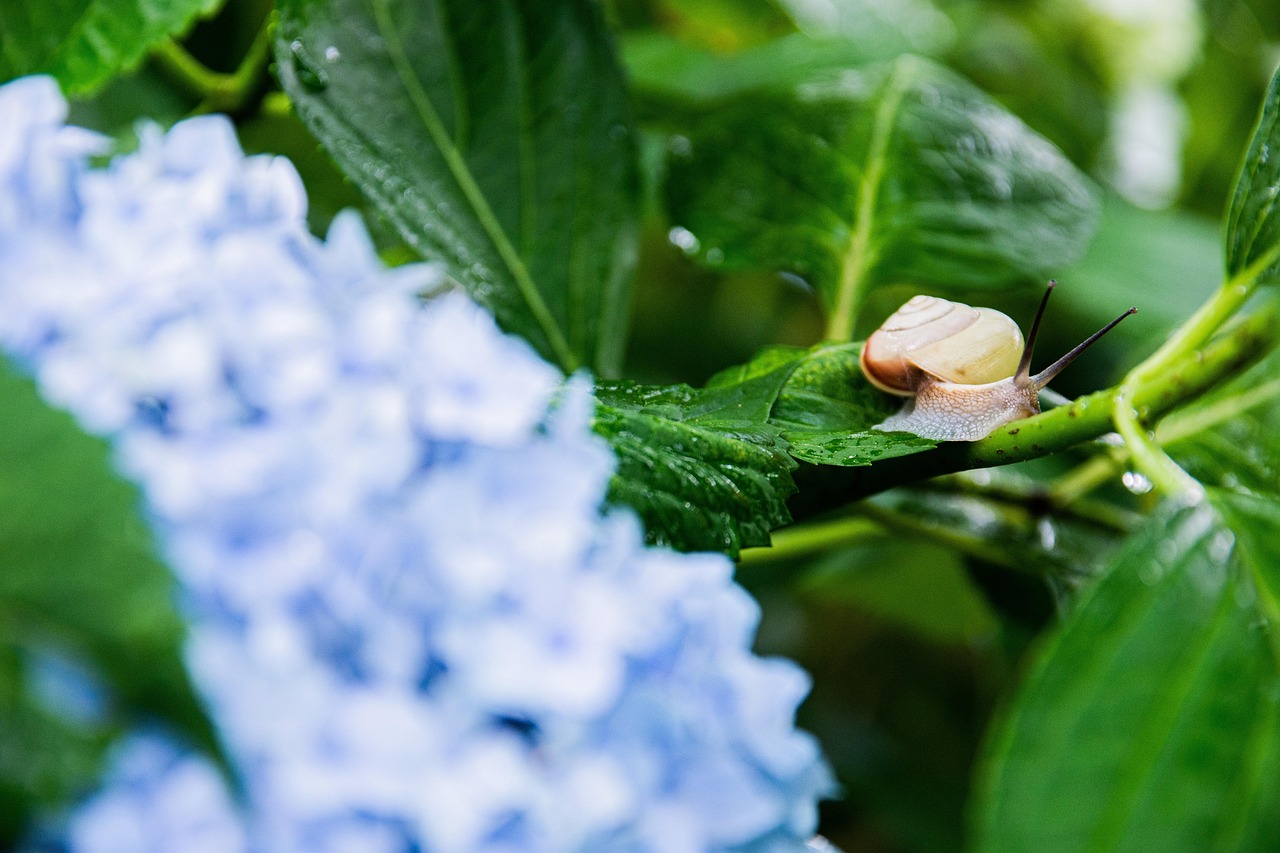 Informatique Écologique : Stratégies pour Minimiser l’Empreinte Carbone de Vos Systèmes Technologiques