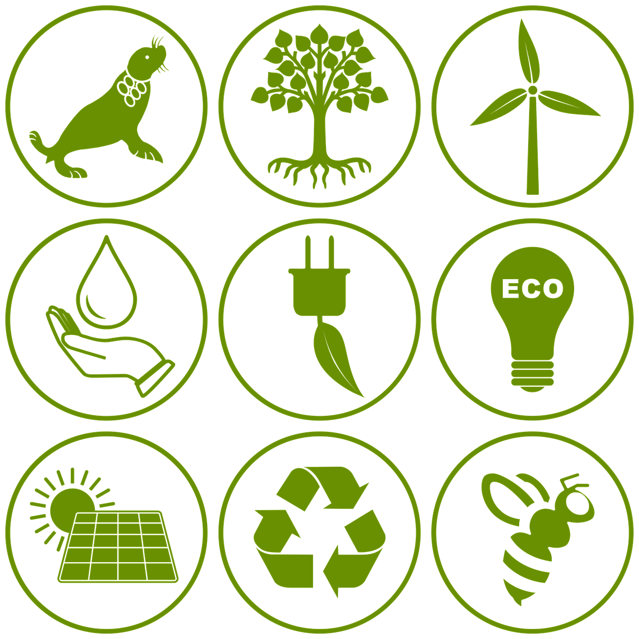 Jeux Olympiques de Paris 2024 : vers un bilan carbone allégé et respectueux de l’environnement