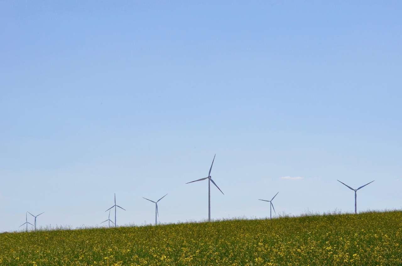 Ministère de la Transition Écologique : Biodiversité, Climat et Coopération Internationale pour un Avenir Durable