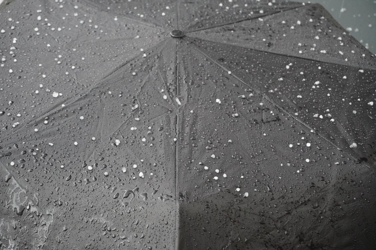 découvrez les actions concrètes à mener pour lutter contre le changement climatique. informez-vous sur les solutions, initiatives et innovations pour protéger notre planète et favoriser un avenir durable.