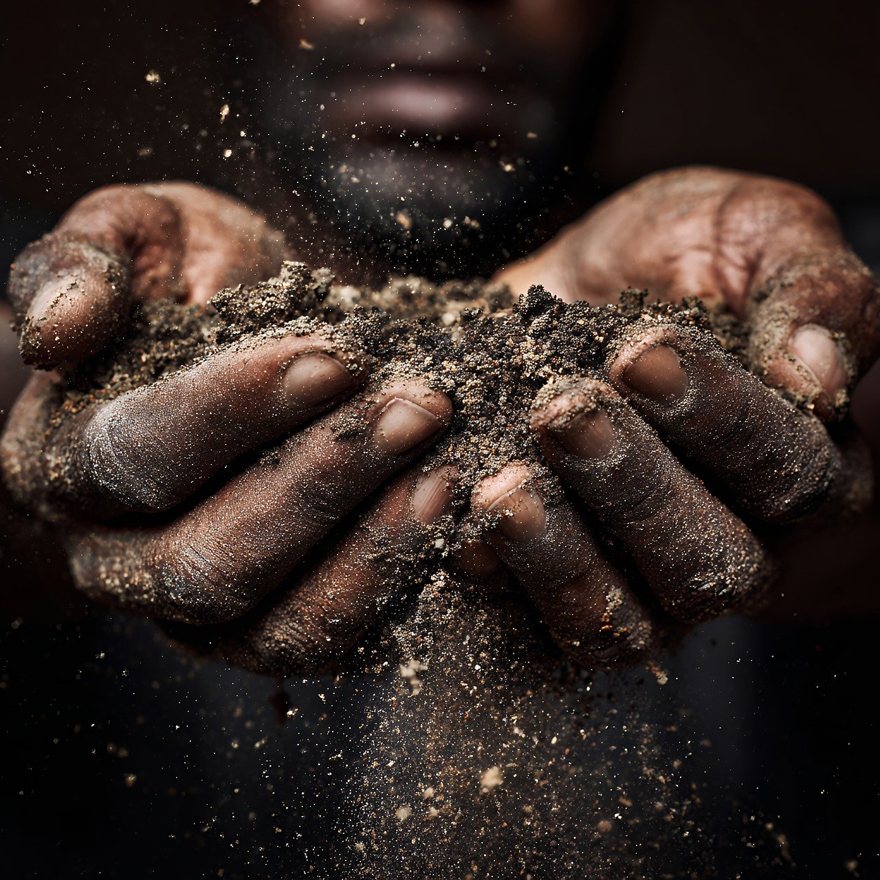 découvrez les principes de l'écologie durable : des solutions concrètes et innovantes pour préserver l'environnement, favoriser la biodiversité et adopter un mode de vie respectueux de la planète.