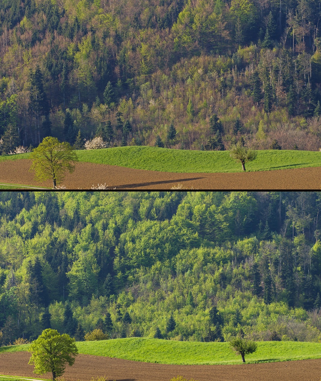 découvrez les données et analyses sur les émissions de co2 en france, leur évolution et leur impact environnemental.