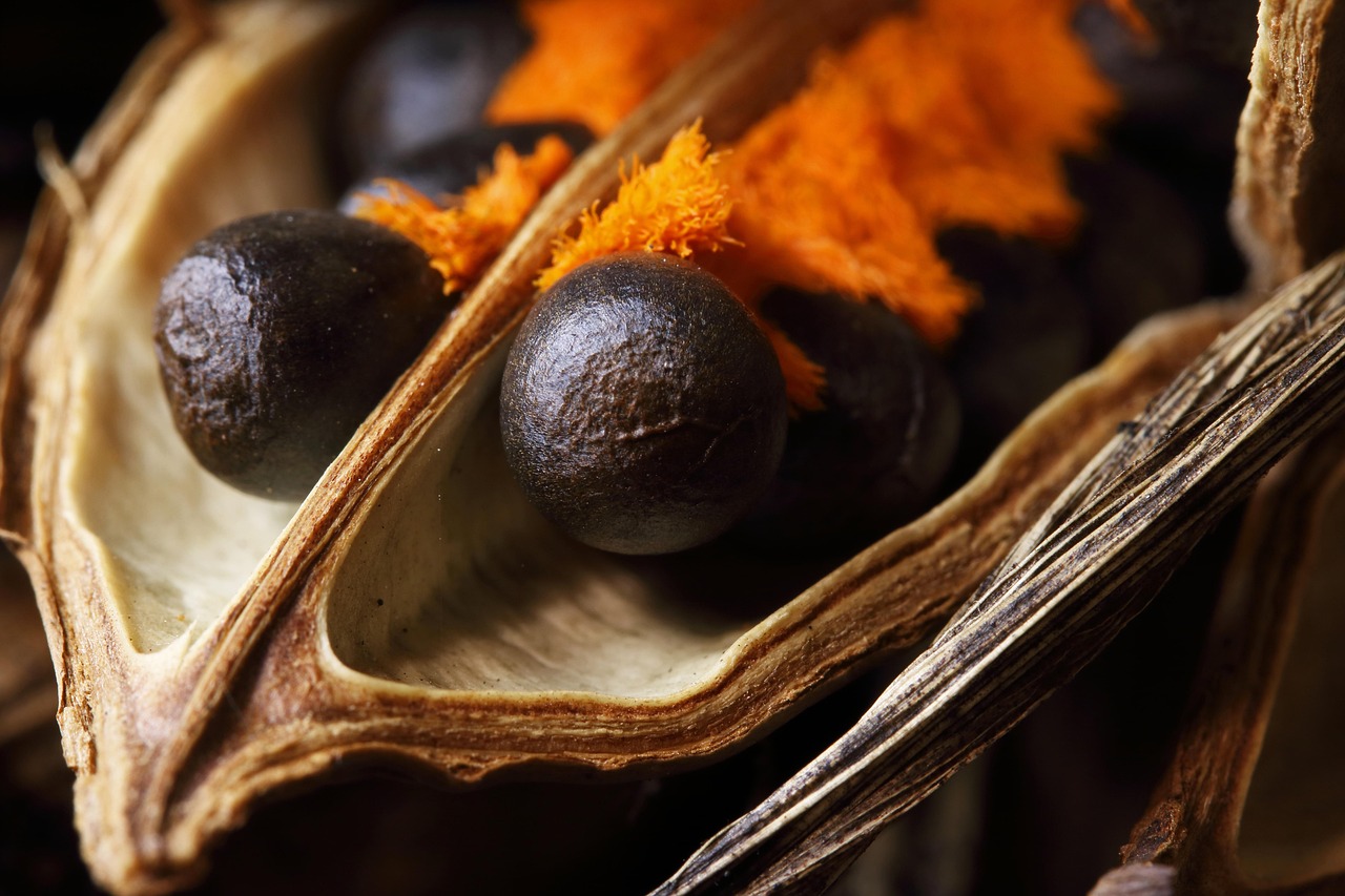 Climat : à la découverte des mécanismes de propagation de la désinformation