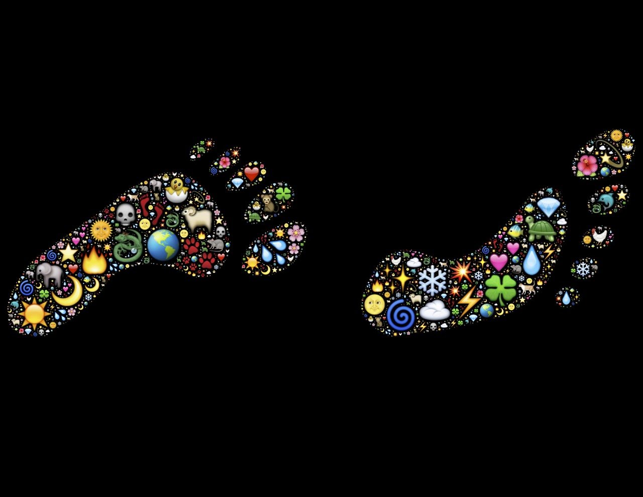 Exploration approfondie de l&rsquo;empreinte &eacute;cologique : comprendre et agir sur notre impact environnemental