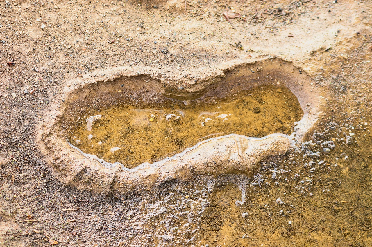 L’empreinte écologique : comprendre et quantifier notre impact sur la planète