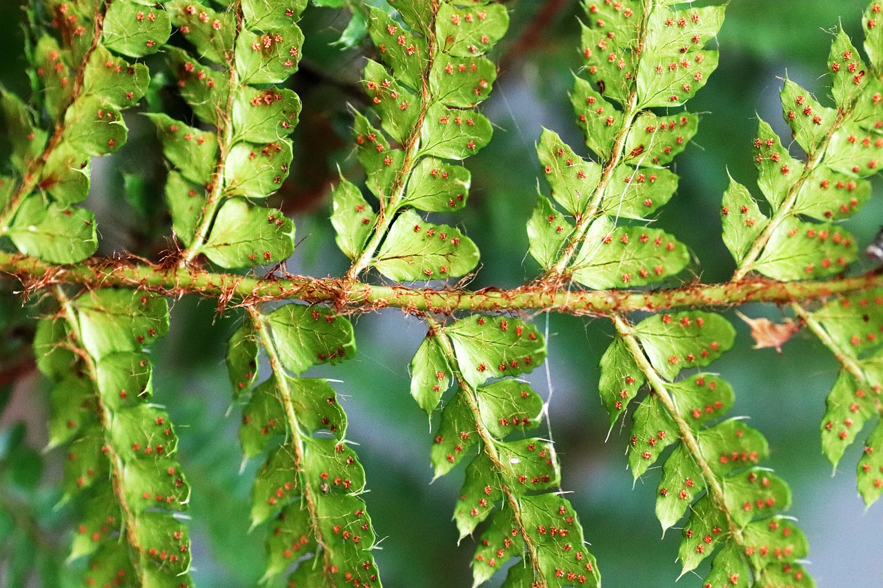 découvrez comment la désinformation se propage, ses impacts sur la société et les moyens de la combattre efficacement.
