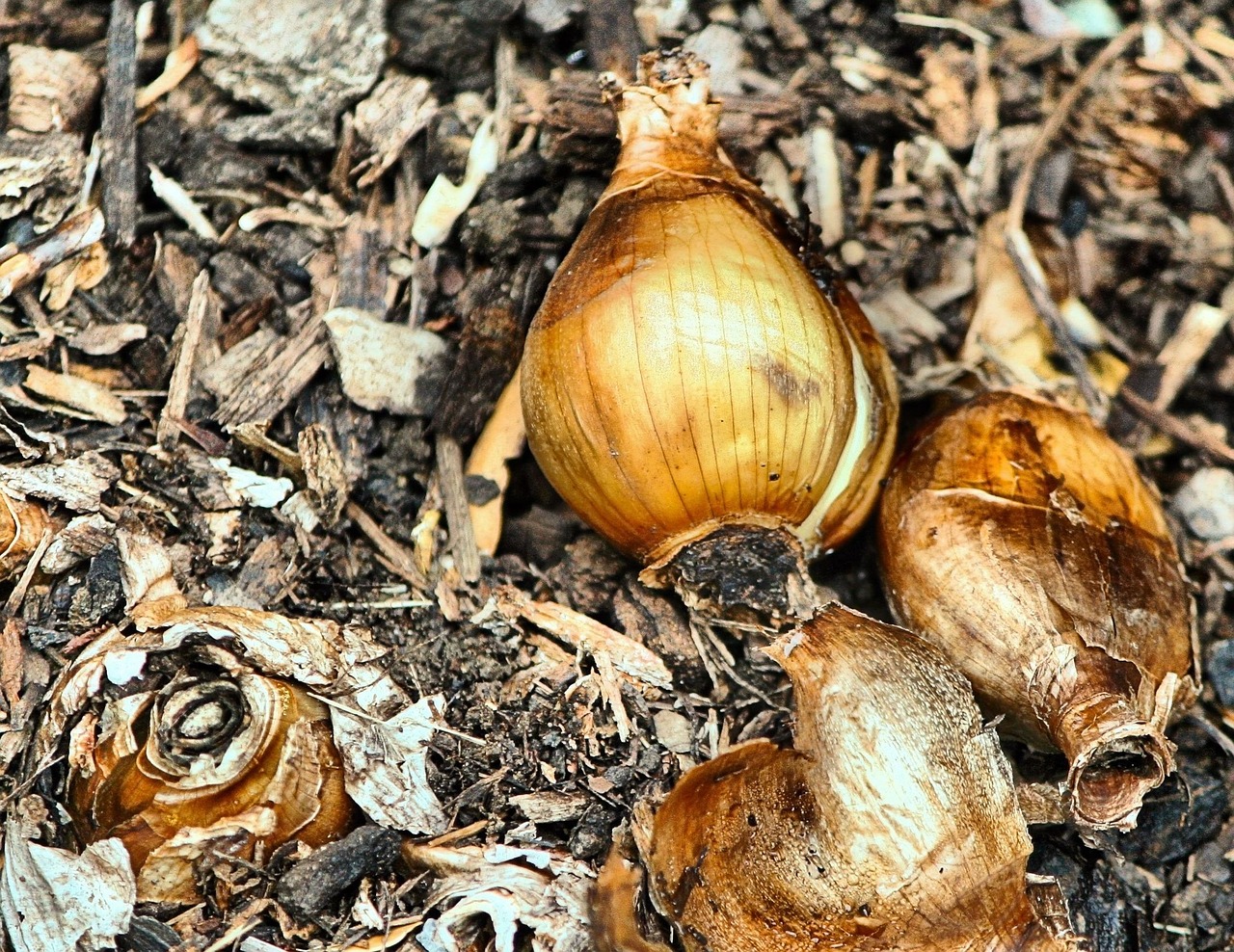 découvrez comment la désinformation se propage, ses impacts sur la société et les moyens de la combattre efficacement.