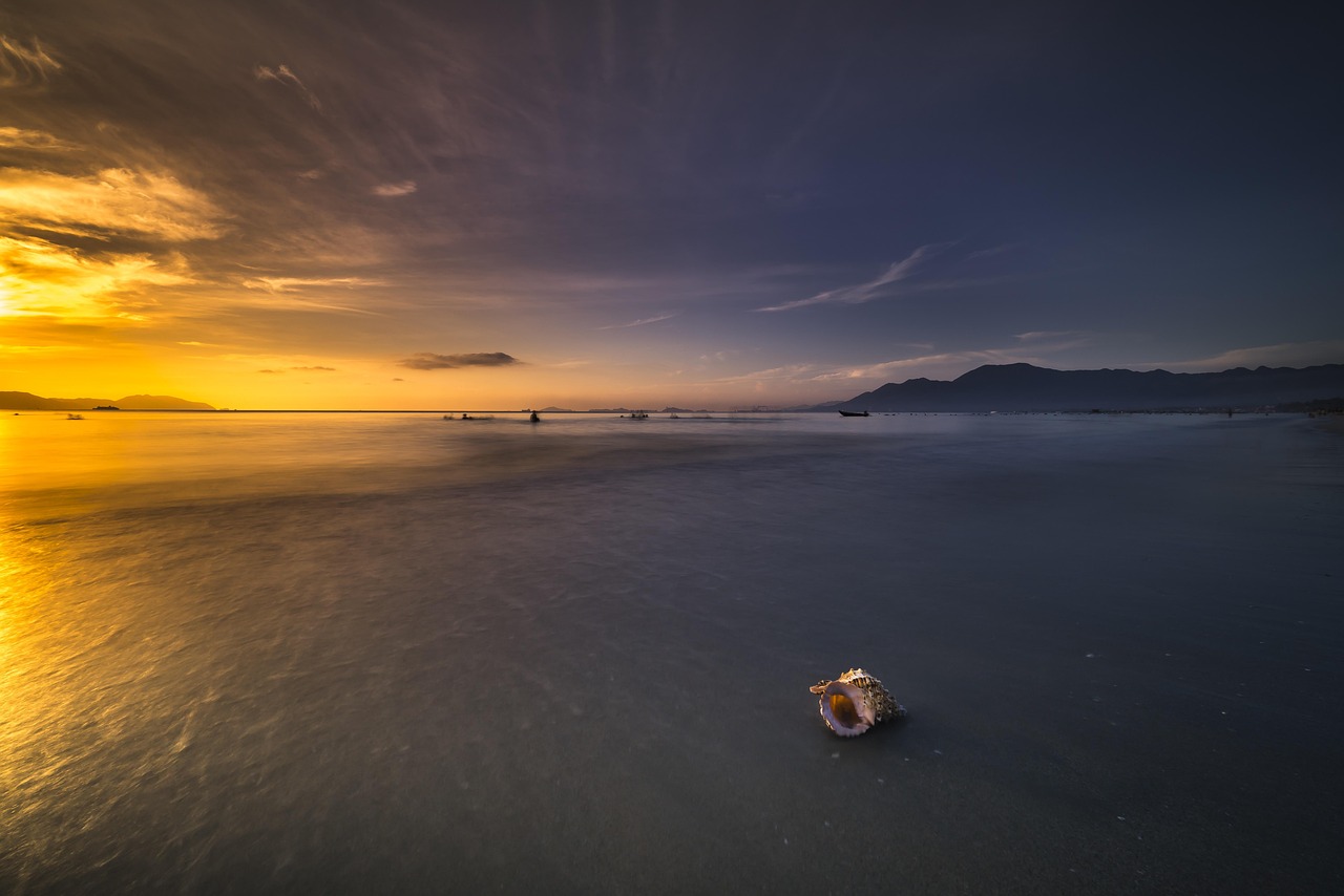 formation sur le climat : d&eacute;veloppez vos connaissances et comp&eacute;tences pour agir efficacement face aux enjeux climatiques.