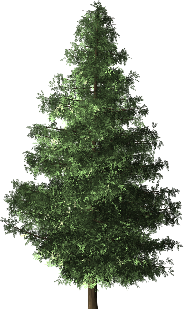 d&eacute;couvrez des id&eacute;es et astuces pour un no&euml;l &eacute;co-responsable, alliant f&ecirc;te et respect de l'environnement.