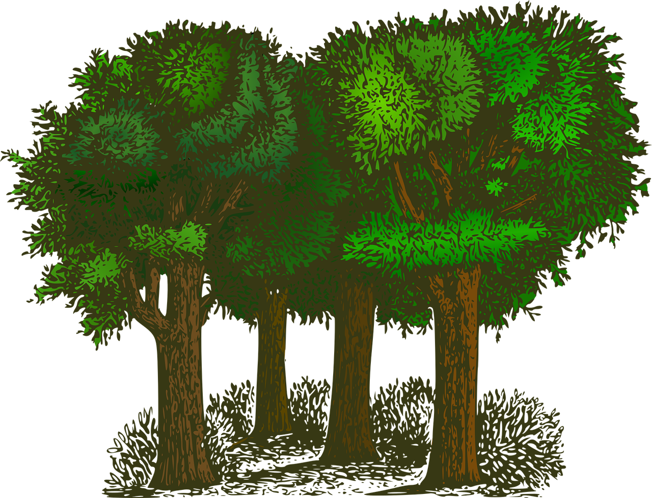 d&eacute;couvrez des informations essentielles sur l'environnement, les enjeux &eacute;cologiques et les solutions durables pour prot&eacute;ger notre plan&egrave;te.