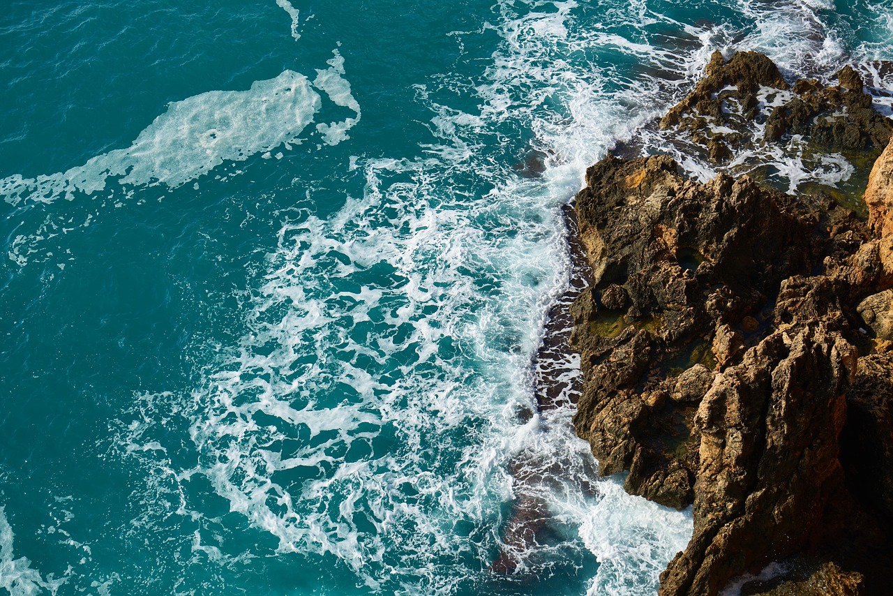 d&eacute;couvrez l'impact des mar&eacute;es vertes sur l'environnement et les solutions pour lutter contre leur prolif&eacute;ration.