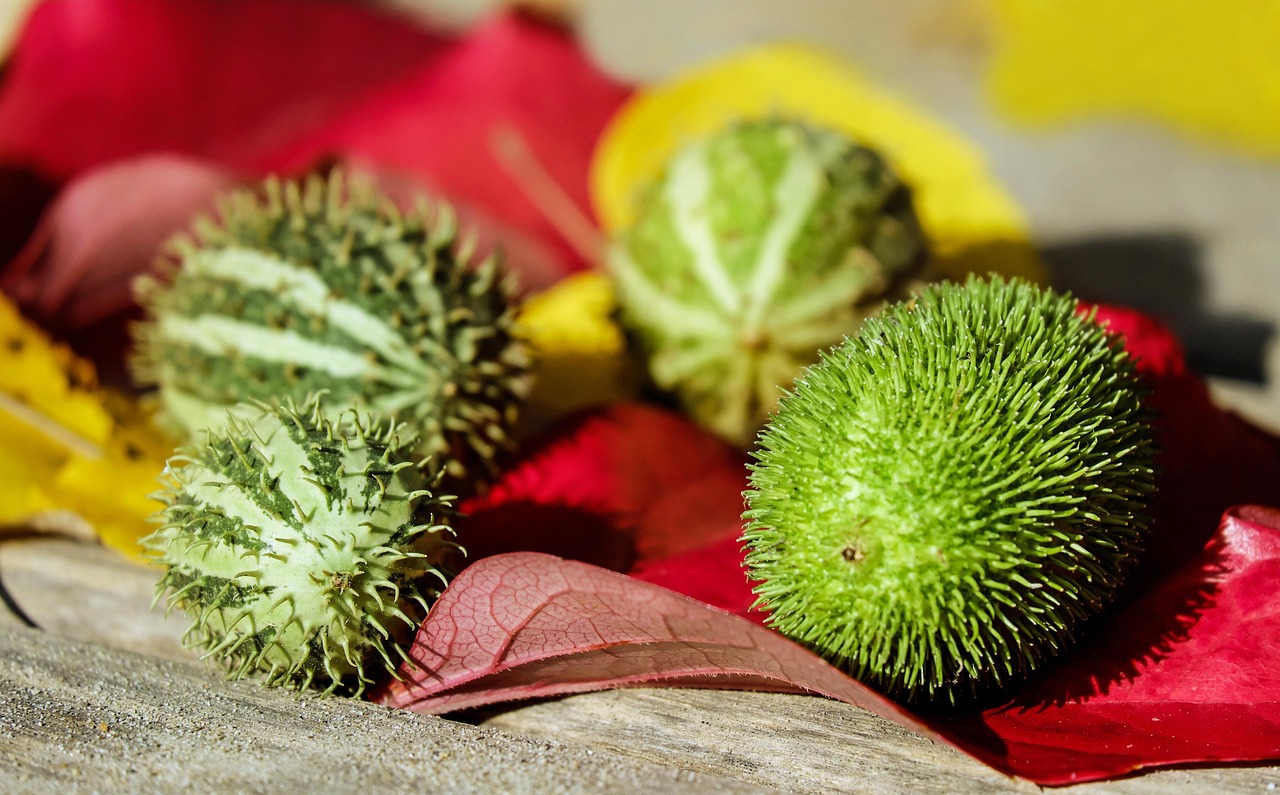 d&eacute;couvrez des conseils pratiques pour r&eacute;duire votre consommation de viande et adopter un mode de vie plus sain et respectueux de l'environnement.