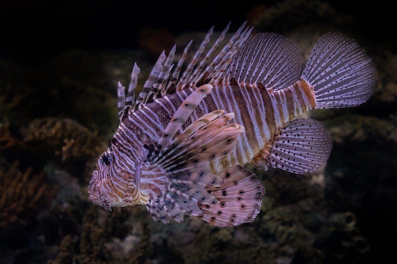 d&eacute;couvrez l'importance de la biodiversit&eacute; pour l'&eacute;quilibre des &eacute;cosyst&egrave;mes et la survie de notre plan&egrave;te, ainsi que les actions pour la prot&eacute;ger.