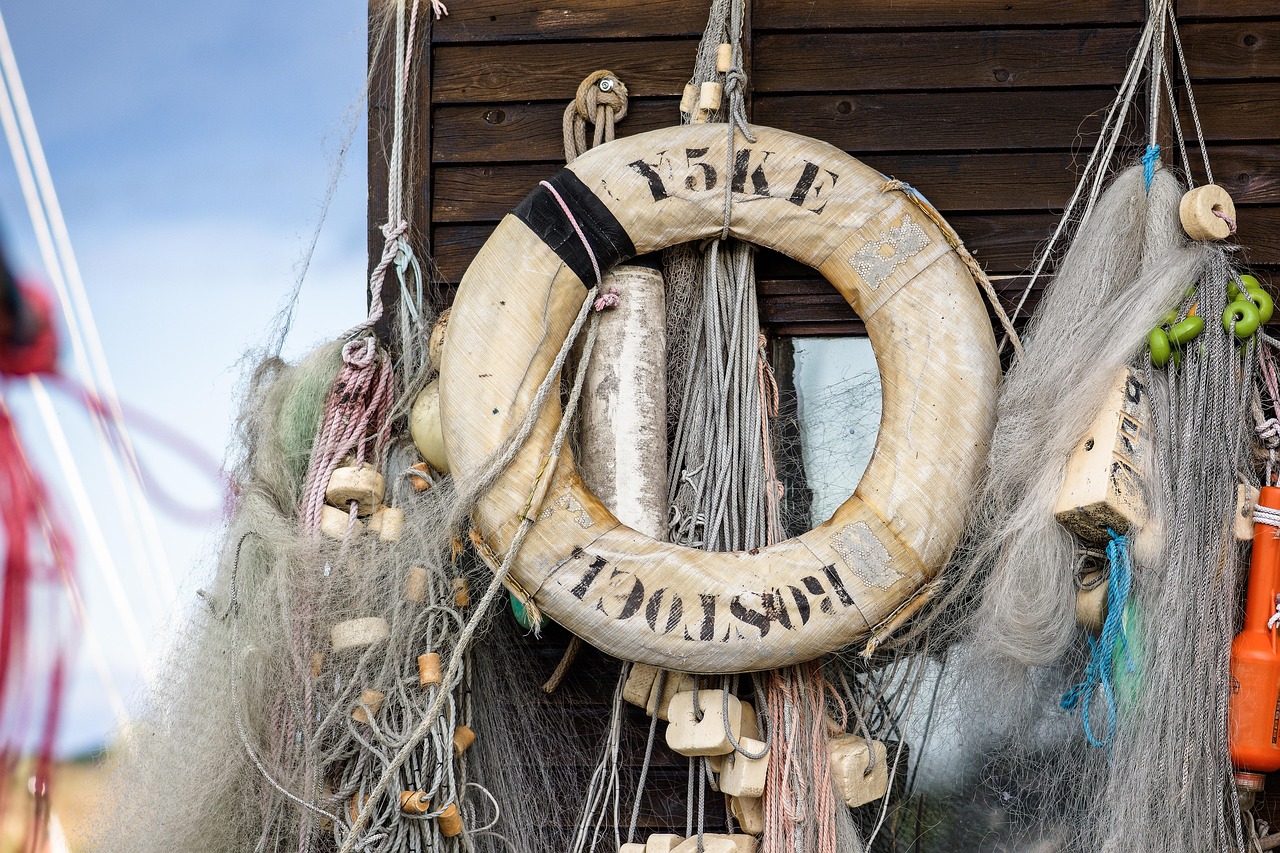 s&eacute;curit&eacute; environnementale : prot&eacute;ger les &eacute;cosyst&egrave;mes et pr&eacute;venir les risques li&eacute;s aux changements climatiques pour assurer un avenir durable.