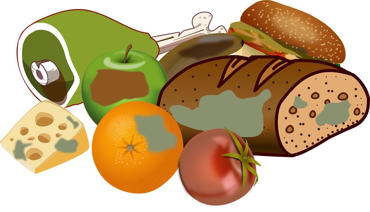 découvrez les enjeux du gaspillage alimentaire, ses impacts environnementaux et des astuces pratiques pour réduire le food waste au quotidien.