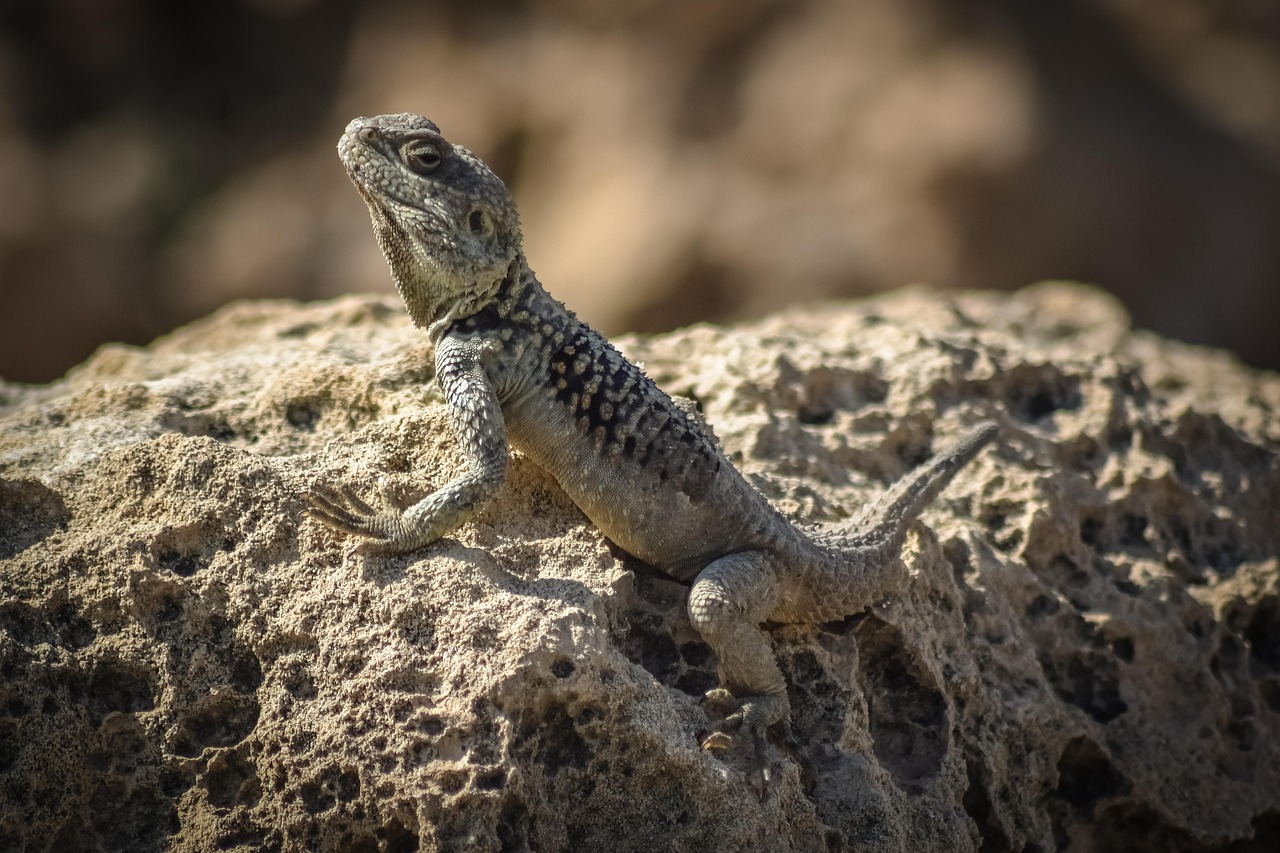 d&eacute;couvrez les techniques et solutions pour adapter la production de forage aux exigences actuelles, optimisant ainsi l'efficacit&eacute; et la durabilit&eacute; de vos op&eacute;rations.