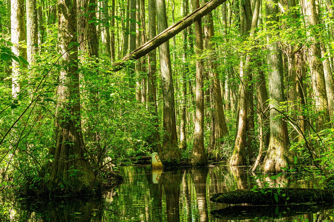 Interdiction stricte des am&eacute;nagements pour retenues d&rsquo;eau en zones humides