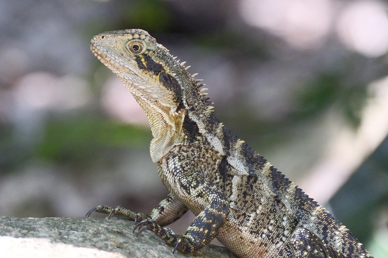découvrez l'importance de la biodiversité, sa variété d'espèces et son rôle crucial dans l'équilibre des écosystèmes pour un avenir durable.
