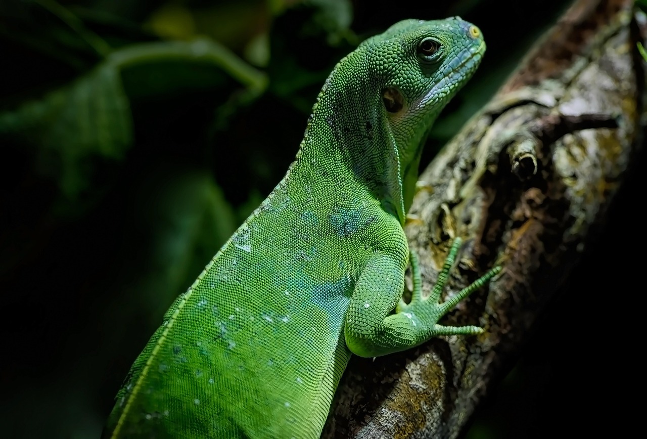 d&eacute;couvrez tout sur le camouflage : techniques, utilisations et conseils pour se fondre dans l'environnement en toute discr&eacute;tion.