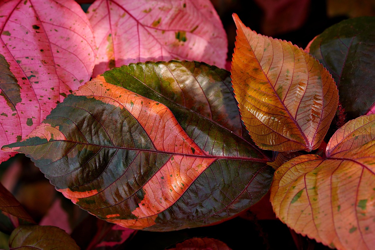 catalyseur nanostructur&eacute; &agrave; base de cuivre pour des performances optimis&eacute;es en r&eacute;action chimique.