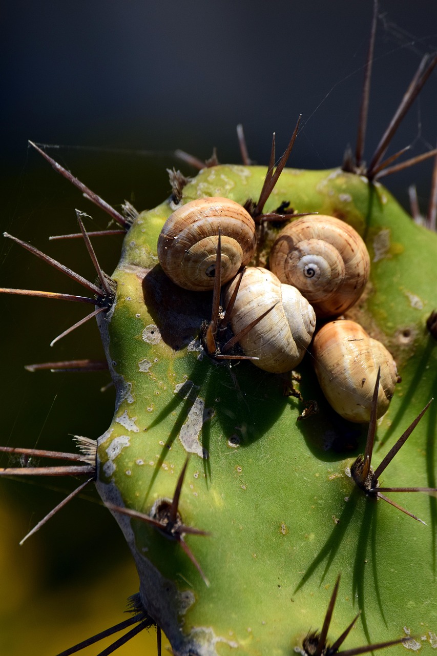 Climat : l&rsquo;Europe se r&eacute;chauffe &agrave; un rythme double de la moyenne mondiale