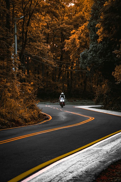 D&eacute;carbonation, &eacute;nergie et souverainet&eacute; : la R&eacute;gion Bretagne trace sa voie ambitieuse