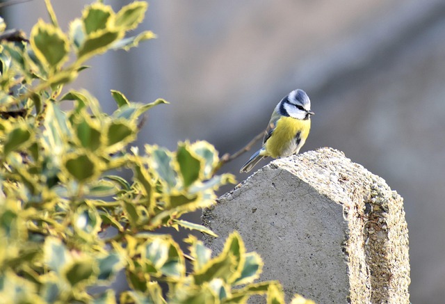 &laquo; Tant que les plus riches ne bougeront pas, le reste du monde r&eacute;sistera &raquo; : d&eacute;cryptage d&rsquo;un blocage social majeur
