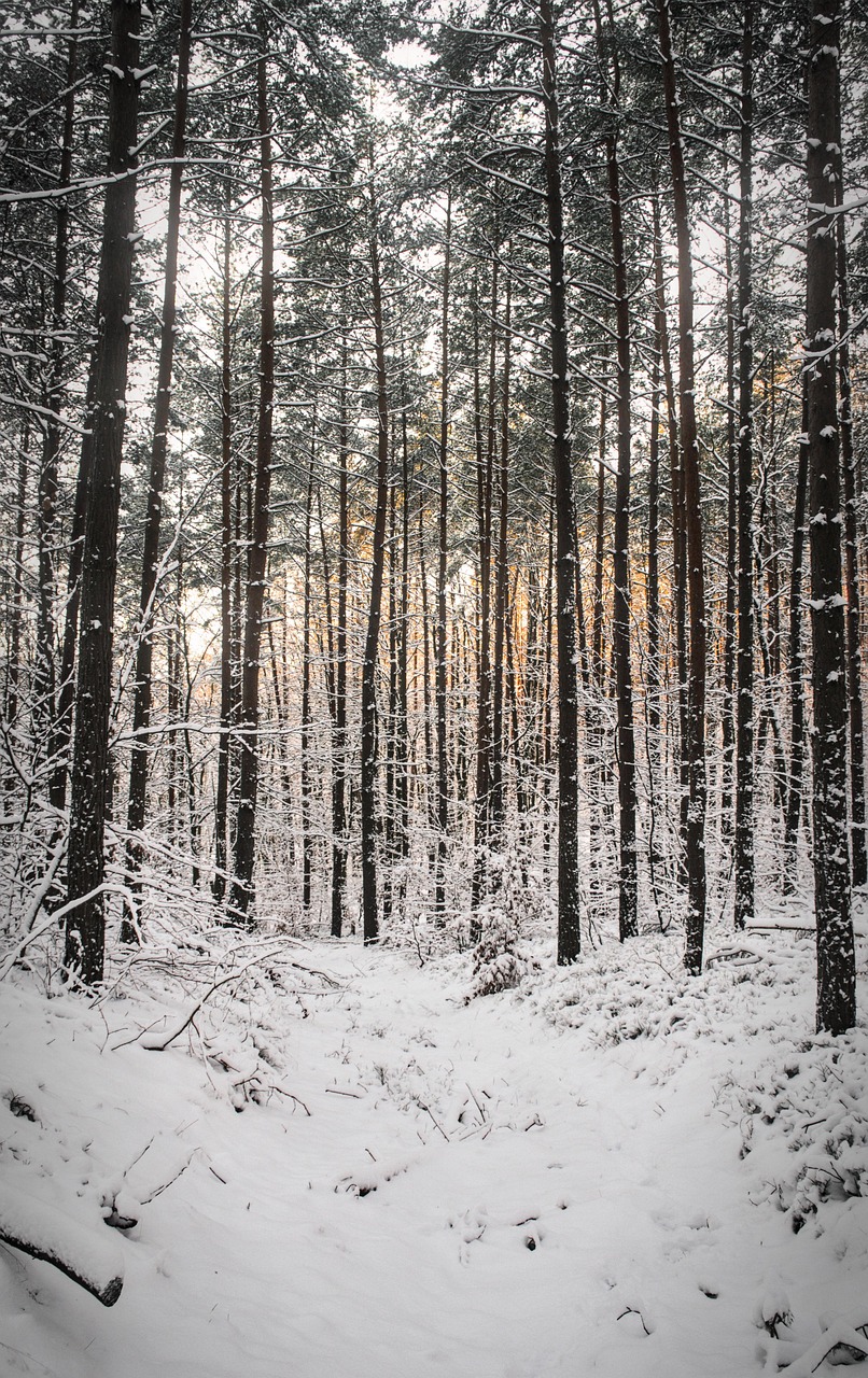 d&eacute;couvrez le village cach&eacute;, un lieu secret rempli de myst&egrave;res et de charme authentique, parfait pour les amateurs d'aventure et de tranquillit&eacute;.