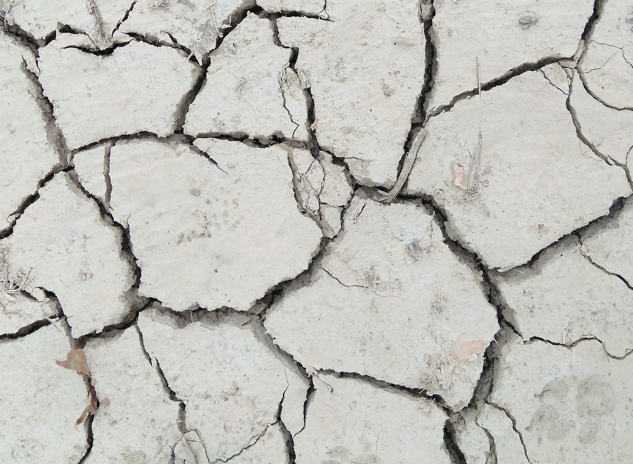 d&eacute;couvrez tout sur l'infertilit&eacute; : causes, traitements et conseils pour mieux comprendre et g&eacute;rer cette condition affectant la fertilit&eacute;.