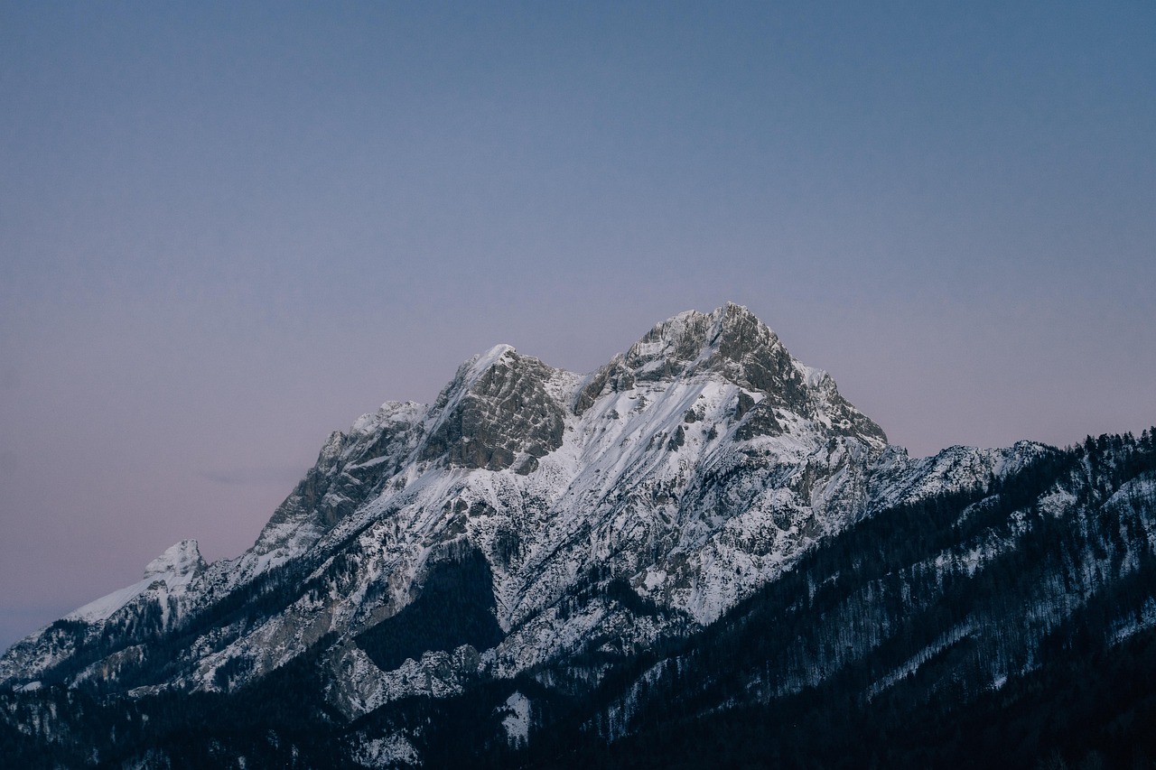 d&eacute;couvrez le one health summit, un &eacute;v&eacute;nement d&eacute;di&eacute; &agrave; la collaboration entre sant&eacute; humaine, animale et environnementale pour un avenir durable et sain.