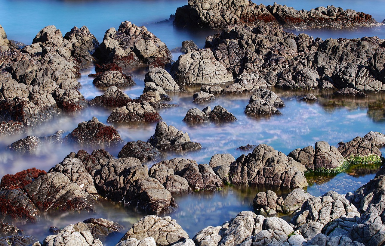 informations essentielles pour les actionnaires, incluant leurs droits, responsabilit&eacute;s et r&ocirc;le dans la gouvernance d'entreprise.