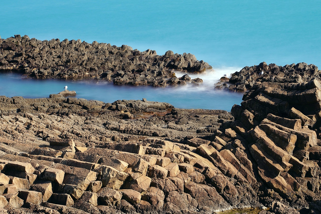 d&eacute;couvrez tout ce qu'il faut savoir sur les actionnaires : droits, responsabilit&eacute;s et r&ocirc;le dans la gestion d'une entreprise.
