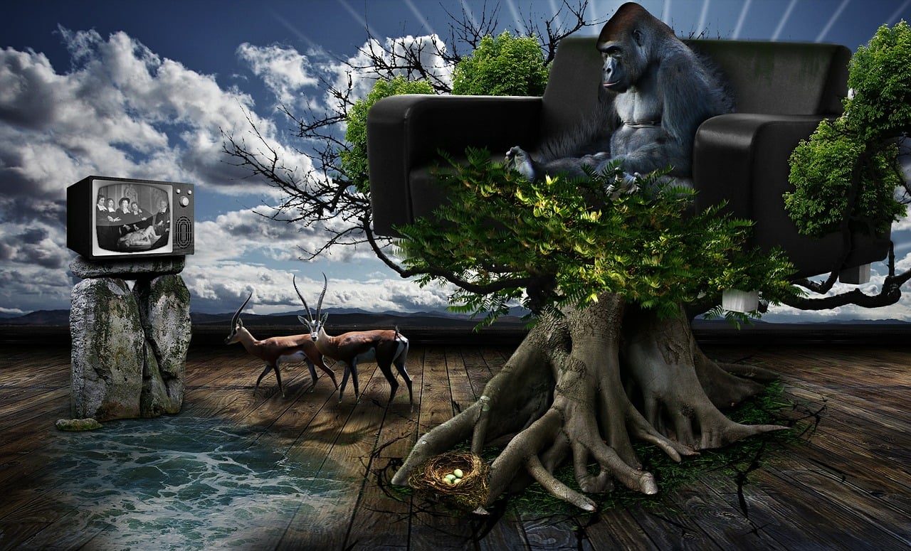 Aucune consommation d&rsquo;eau additionnelle pour la production de neige artificielle aux Jeux