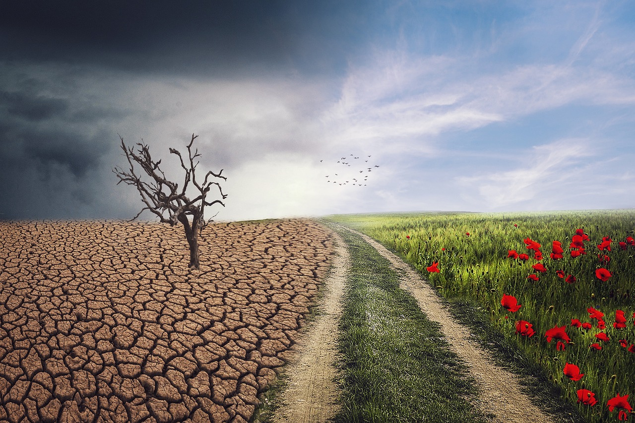 d&eacute;couvrez les causes, impacts et solutions du changement climatique pour mieux comprendre les enjeux environnementaux mondiaux.