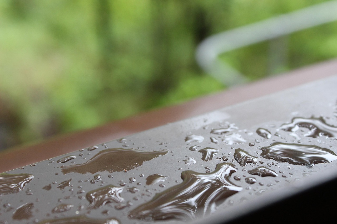 d&eacute;couvrez les techniques et avantages de la collecte des eaux de pluie pour &eacute;conomiser l'eau, r&eacute;duire les factures et contribuer &agrave; la pr&eacute;servation de l'environnement.