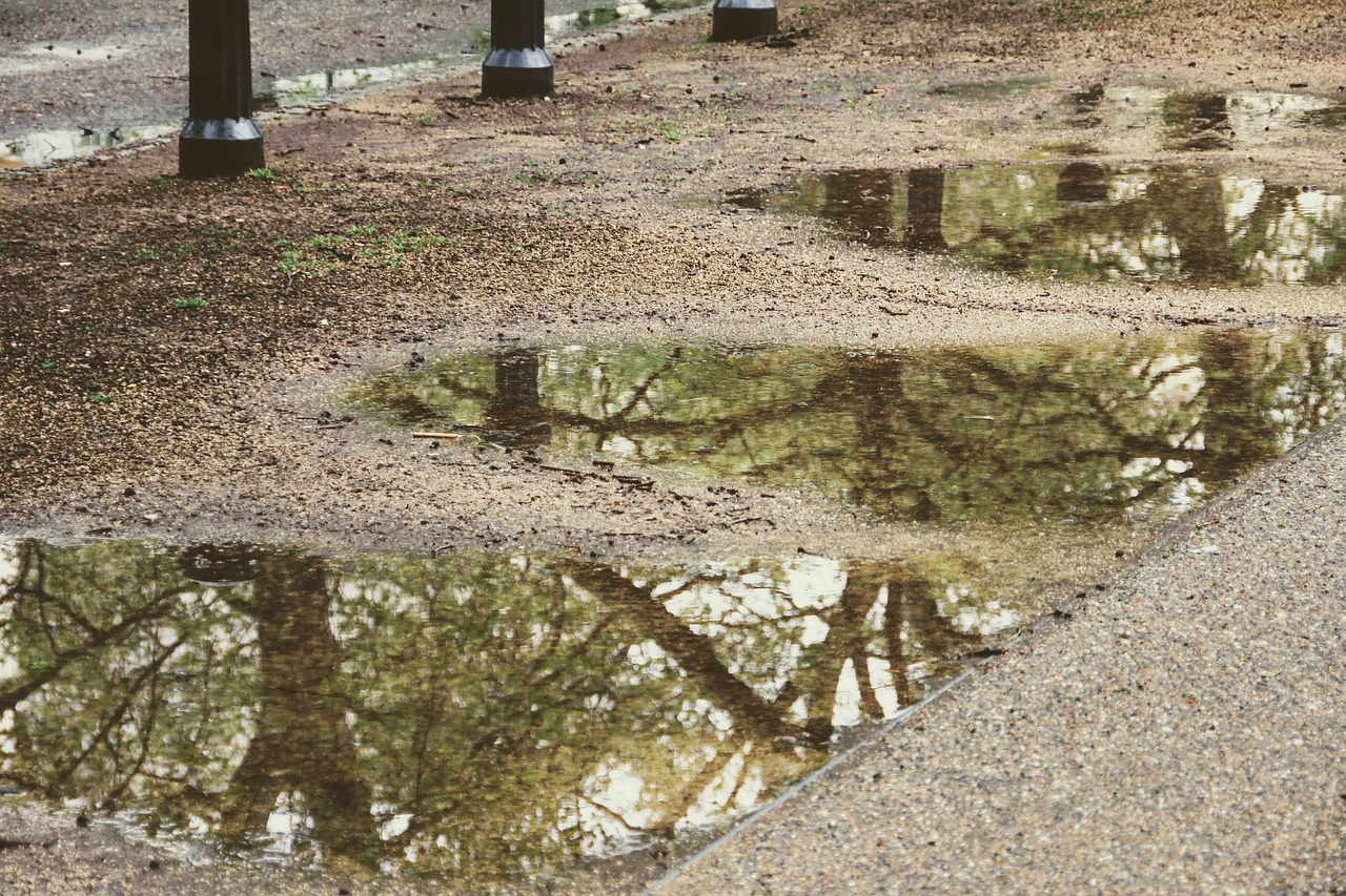 d&eacute;couvrez les m&eacute;thodes efficaces de collecte et de gestion des eaux de pluie pour &eacute;conomiser de l'eau, r&eacute;duire vos factures et prot&eacute;ger l'environnement.