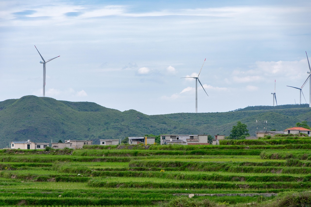 d&eacute;couvrez les principes du d&eacute;veloppement durable pour pr&eacute;server les ressources naturelles, promouvoir l'&eacute;quit&eacute; sociale et garantir un avenir respectueux de l'environnement.