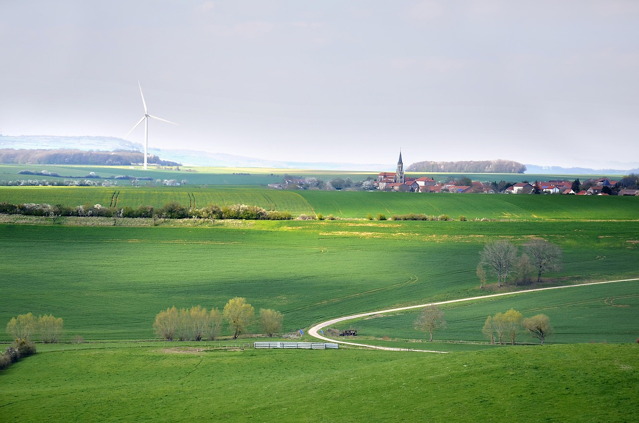 d&eacute;couvrez les principes du d&eacute;veloppement durable pour pr&eacute;server les ressources naturelles, promouvoir l'&eacute;quit&eacute; sociale et assurer un avenir respectueux de l'environnement.
