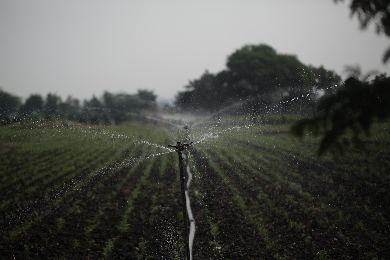 d&eacute;couvrez les meilleures pratiques pour la conservation de l'eau et adoptez des gestes simples pour pr&eacute;server cette ressource pr&eacute;cieuse au quotidien.